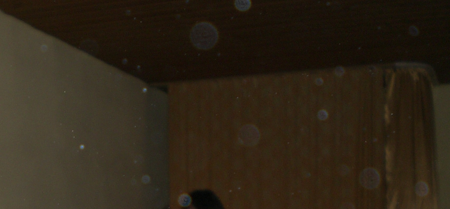 www.Lichtglanz-Sein.de  .  Orbs beim Seminar